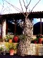 January with Tasos 641